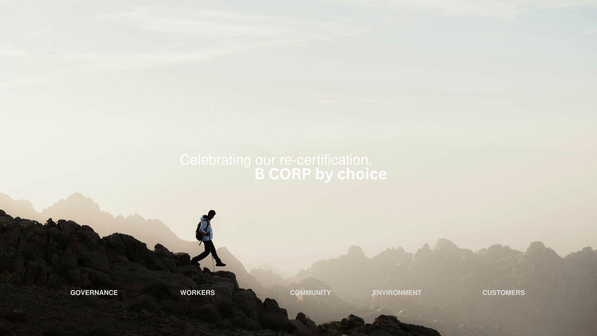 Project Reef Recertified: Why Being a B Corp Matters