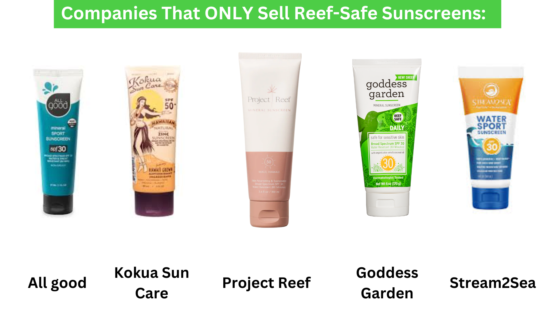 Companies that Only Sell Reef-Safe Sunscreens