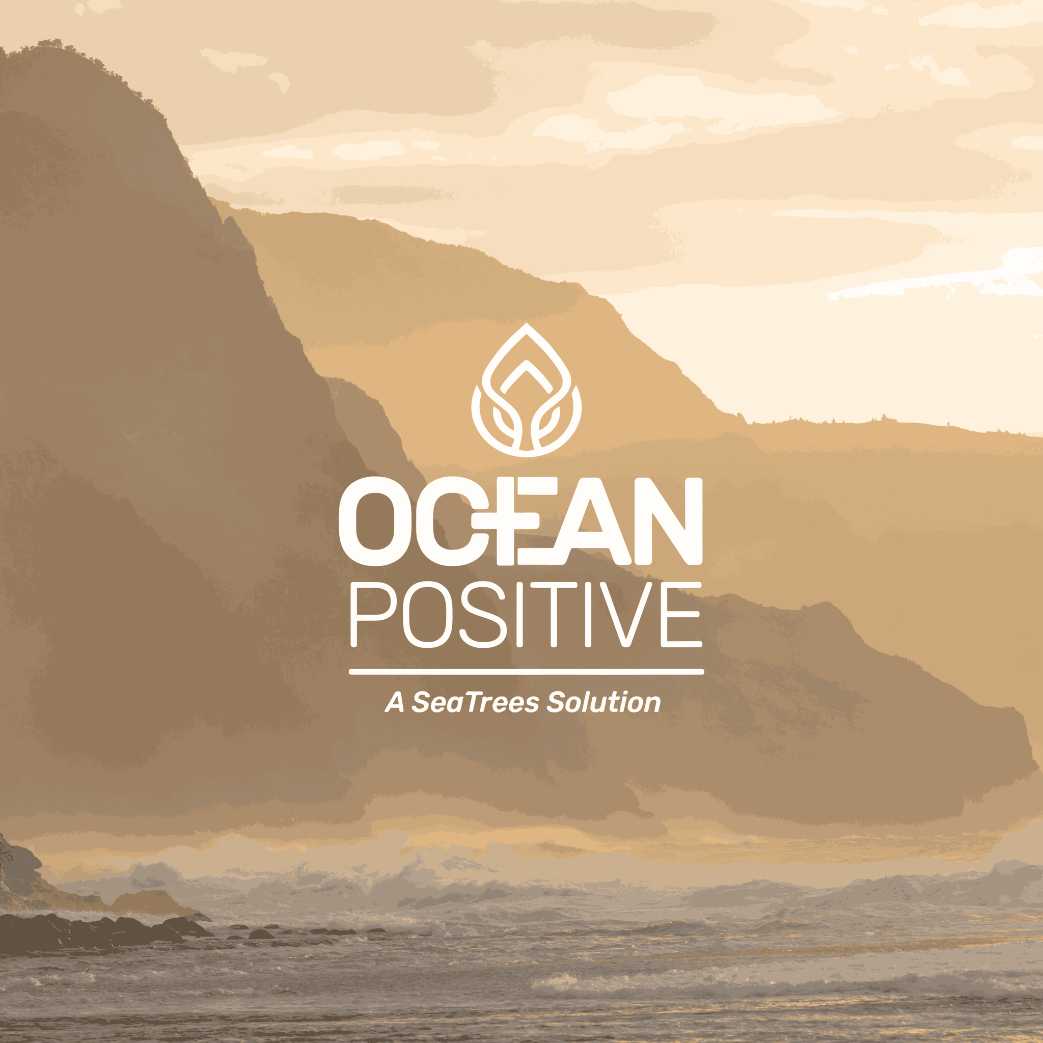 Ocean Positive View