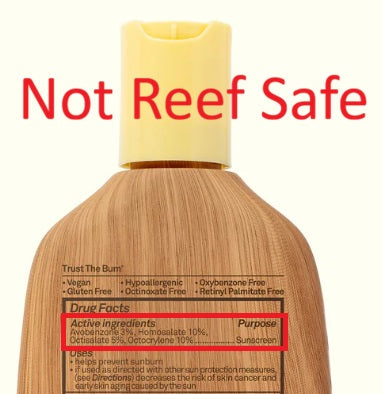 Which Sunscreen Brands are Reef Safe?