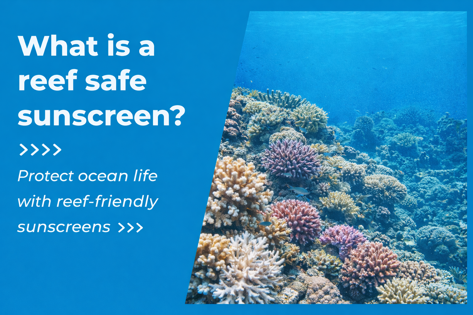 What Is a Reef Safe Sunscreen?