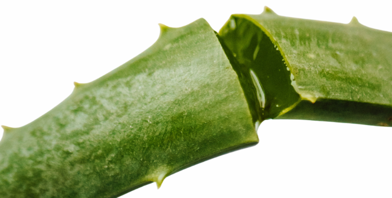 Aloe Vera Gel: What It Is, How It Works, and Why It’s a Must for After-Sun Care
