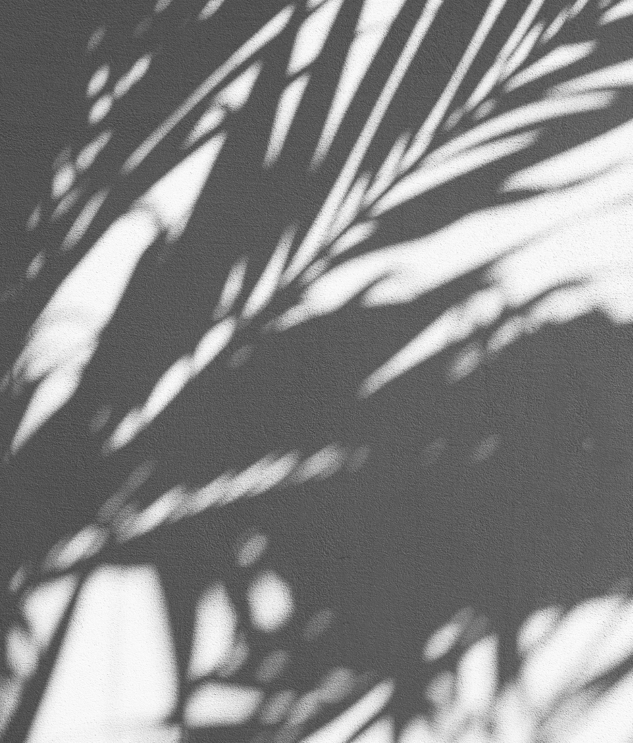 Shadow of palm leaves on a sunny surface, ideal for a sunscreen-inspired summer setting
